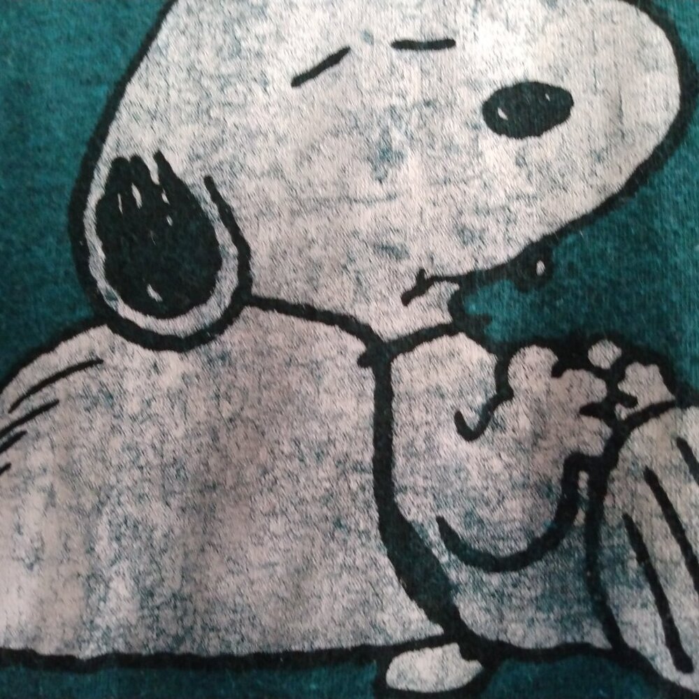 Peanuts Teal Snoopy Graphic Tee T-Shirt XL Retro Pop Culture Casual Streetwear - Picture 3 of 7